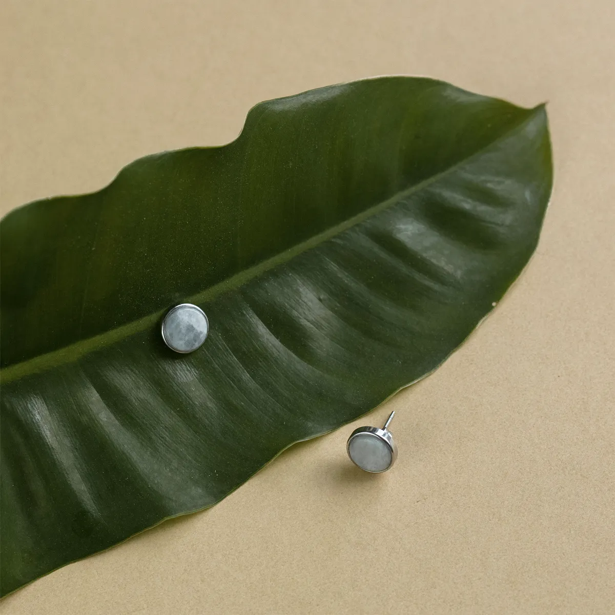 Moonstone Ear Studs (Round)