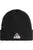 PICTURE 2024 KULDO BEANIE